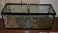 Front view of the 75 gallon glass aquarium showing dual compartments and included accessories inside.