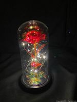 Front view of red rose under glass dome illuminated by string LED lights wrapped around the stem.