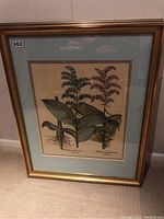 Full front view of botanical art print in gold tone frame with pale blue mat, showing plant illustrations with labels