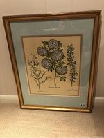 Full view of the framed botanical art print showing three plants, mounted on a blue mat with a gold frame.