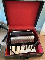 Full view of accordion inside open hard case showing keyboard, grille and straps