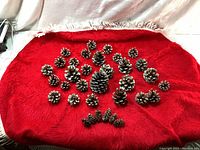 View of all natural pine cones and red Christmas tree skirt displayed flat showing size and quantity