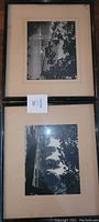 Overview of two framed black and white photos of Stanley Park stacked vertically, showing wear to frames and matting.