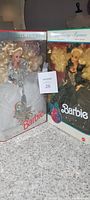 View of both boxed Barbie dolls side by side showing full packaging and dolls inside.