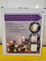 Box showing 16ft Pinecone shaped Christmas String Lights with Battery Powered Warm White LED by APEX CE SPECIALISTS LIMITED.