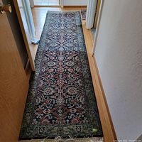Photo of the blue and red runner carpet laid out in a hallway, showing full length and pattern detail.