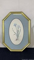 Lithograph of Iris Florentina flowers in oval matte with octagonal gold frame front view