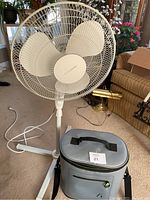 Front view showing the white oscillating fan and gray cooler bag side by side on carpeted floor