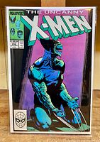 Front cover of The Uncanny X-Men #234 comic book showing full cover artwork with Wolverine character and title.