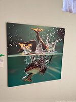 Front view of dry mounted photo print of frog splashing in water on display wall, showing the vibrant water effects and the frog's legs underwater.