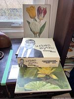 Four floral wall plaques with botanical prints and two board games Urban Myth and Chit Chat on a wooden surface by a window.
