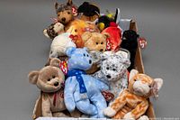 Box containing more than 12 assorted Ty Beanie Babies plush stuffed animals, mostly bears, dogs and cats, many with original Ty tags.