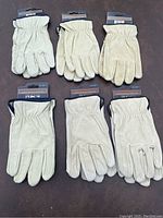 Six pairs of new pale beige leather work gloves arranged in two rows of three, showing front and back views, with elastic wrist cinching and tag visible.