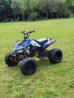 Right-side view of blue ATV on grass