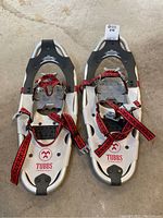 Front view of Tubbs Adventure 21 snowshoes showing straps and frame
