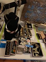 Photo showing the overall lot of costume jewelry including necklaces on black velvet holders and various pins and brooches in trays
