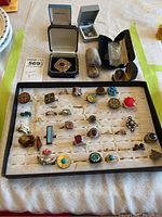 Full view of costume jewelry collection with rings, pins, pendants on display and antique glasses case.