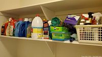 Shelf with multiple cleaning supplies including bleach, detergent bottles, cleaning sprays, and cleaning pads