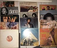 View of all vinyl albums arranged side-by-side showing cover art and titles