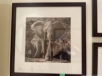 Framed black and white elephant print with visible matting and dark frame.