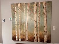 Front view of the square wall art featuring birch tree forest with detailed white and black bark textures and a muted nature background.