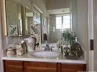 Photo of bathroom countertop showing three ceramic bathroom accessories all with matching beige and brown botanical leaf design near sink, plus decorative glass bottles with botanical inclusions and green plant.
