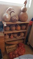 Wide view of five wooden shelves with multiple types of dried gourds arranged by size and shape