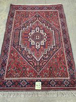 Full view of rug laid flat showing entire design and fringed ends