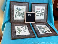 Four framed floral prints arranged in two rows with a lot sign in front; showing the overall lot contents and condition of frames