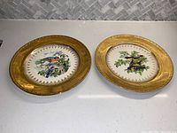 Two vintage Homer Laughlin Georgian plates with bird center designs and gold plated edges shown side by side