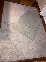Photo showing the large multitonal tan area rug with textured surface and the smaller patterned throw rug placed on top.