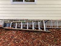 Photo showing a 12 ft extension ladder and an 8 ft painting ladder laid against the side of a house surrounded by dry leaves.