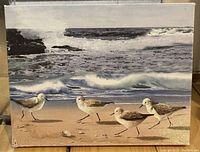 Canvas print artwork showing four shorebirds on sandy beach with waves and rocks in the background, measuring approximately 10 x 8 inches.