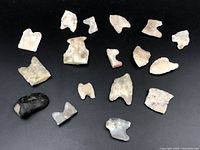 Top view of all 16 ancient arrowhead fragments spread out on black background showing variety of shapes and colors.