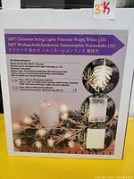 Photo of box showing product branding, model information, and a sample image of the pinecone shape warm white LED lights on a 16 foot string.