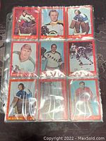 Photo of 9 O-Pee-Chee 1973-74 NHL hockey trading cards in red-bordered sleeves, featuring goaltenders and players from various teams including New York Rangers.