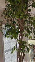 Full view of the faux ficus tree showcasing the dense green leaves and branched trunk near a window with blinds.