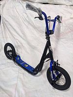 Angled front left view showing black and blue frame, large 12-inch knobby tires, front hand brake lever, pegs on front wheel, and handlebar grips wrapped in plastic.