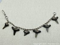 View of vintage shark teeth charm bracelet with six distinct shark teeth attached on a silver tone metal link chain.