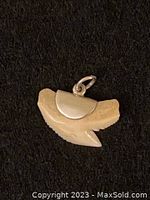 Front side view of small cream-colored shark tooth pendant with silver cap and bail, showing natural serrated edges.