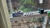 Wide shot showing aluminum dolphin bottle opener and Hoselton bird figures lined on a windowsill.