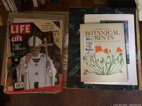Overview photo showing stack of vintage LIFE magazines and two art books, one Botanical Prints by Henry Evans and large folio-sized Audubon Folio.