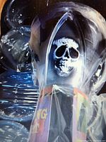 Photo of one plastic Halloween goblet showing detailed skull design and packaging reflections.