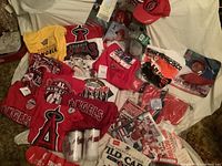 Overview of eight T-shirts, two tumblers, magazines and hats laid on white sheet