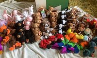 Full lot of Beanie Babies including bears, unicorns, moose, and colorful inchworms and ladybug on a white sheet.