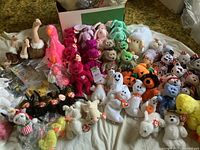 Overview of large collection of Beanie Babies featuring multiple species of birds, bears, and Halloween themed plush toys all with TY tags attached, displayed on a bed.