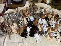 Wide view of collection of various Ty Beanie Babies cats and dogs plush toys spread on cloth.