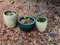 Three ceramic pots on leaf-covered ground: two tall/beige with dotted texture and one large/green round pot, all with soil and dead plants inside.