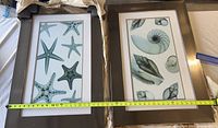 Two large framed ocean-themed photos laid flat with yellow measuring tape across the width showing about 16-17 inches. One frame contains multiple starfish images and the other multiple seashell images.