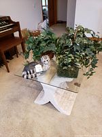 Photo of ceramic cat figurine sitting on glass table alongside three baskets of artificial plants with varied green leaves in different basket containers.